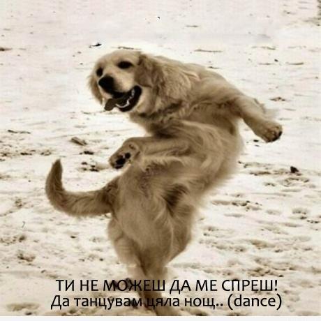 Ти не може да ме спреш Ти не може да ме спреш