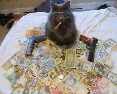 Забавни снимки