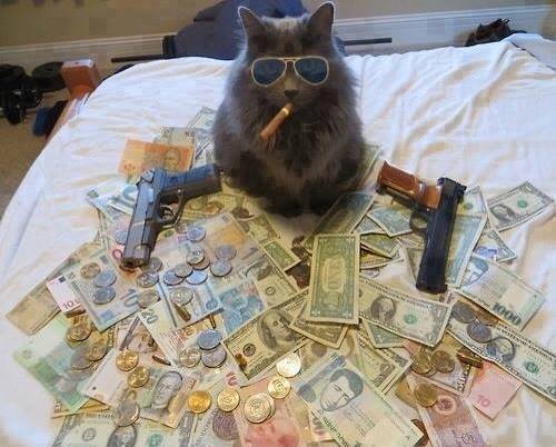 Don CATLeone